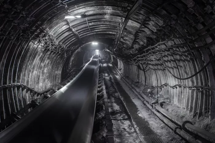 CON29M - Coal Mining Report