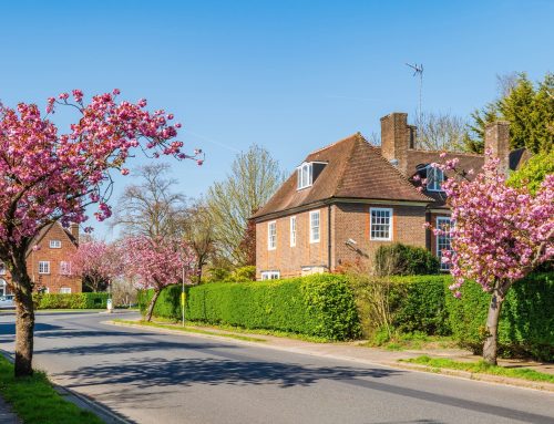 Why Property Searches Matter Before You Buy